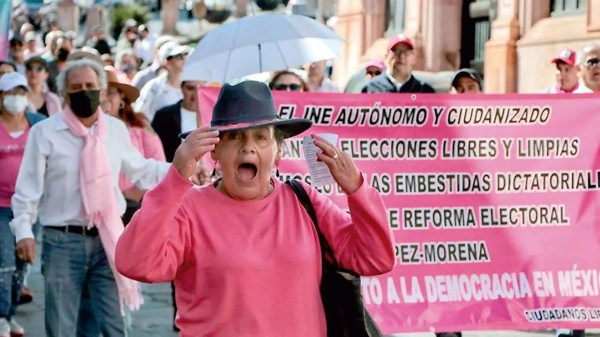 Contingente en marcha pro defensa del INE